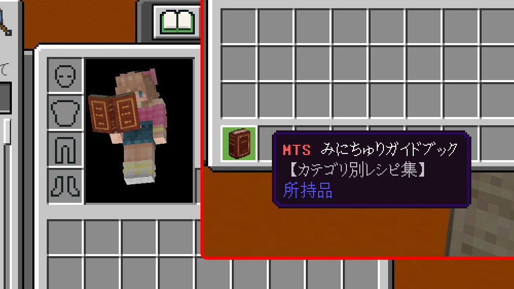 guidebook